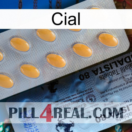 Cial 44